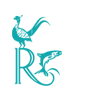 logo-bird-top-right